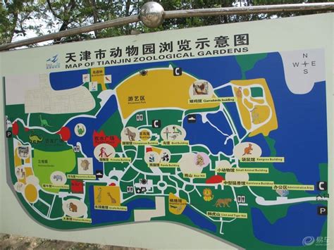 天津動物園在哪個區，動物園內是否藏有時空隧道？